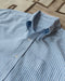 Wythe Oxford Cloth Button Down - Blue and White Stripe