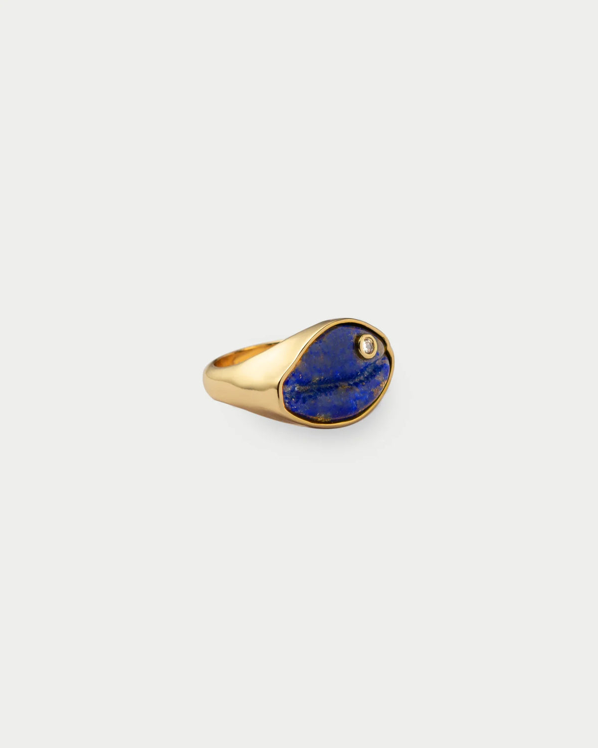 éliou Coqui Ring