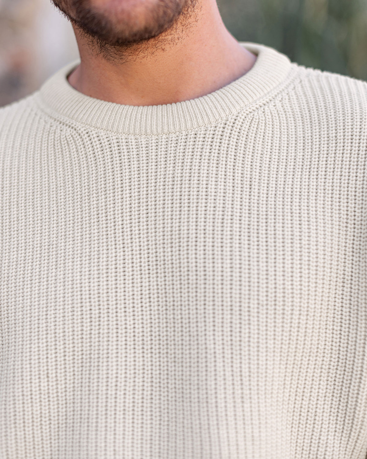 Alex Crane Bay Sweater - Cream