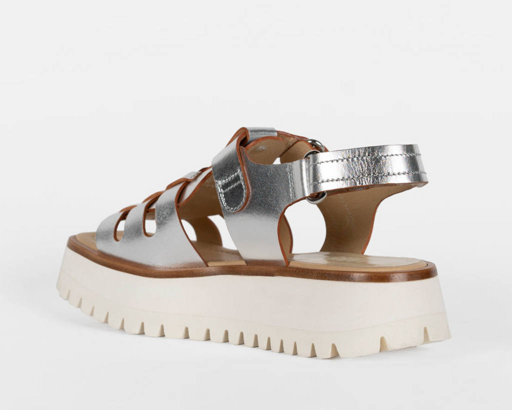 Labucq Boomer Sport
