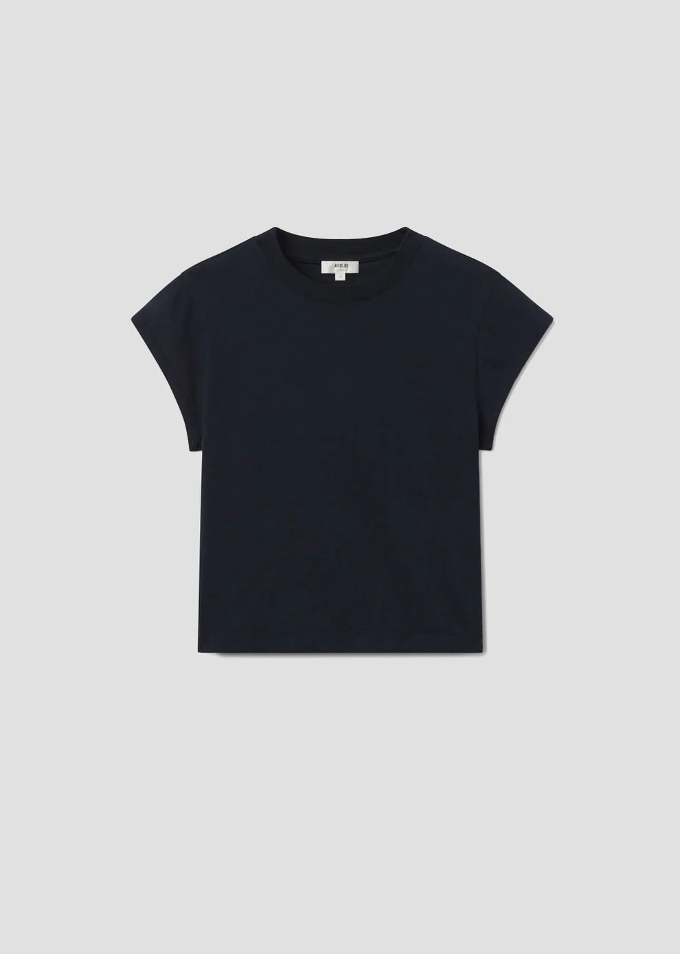 Agolde Bryce Cap Sleeve Tee In Storm