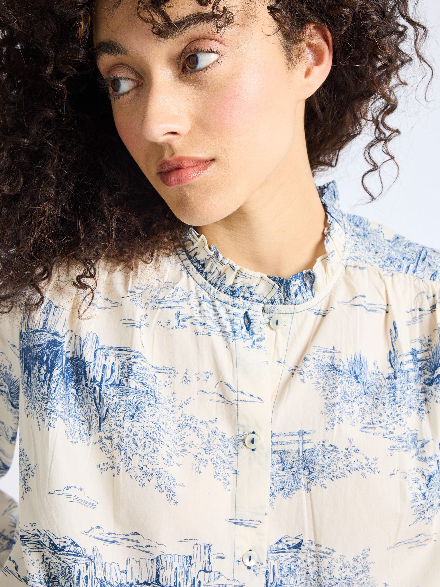 Mille Francesca Top in Western Toile