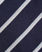 Sid Mashburn Silk Repp Tie in Navy/Sky/White Stripe