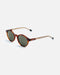 Vuarnet Havana Brown - Grey Polar - Polarized