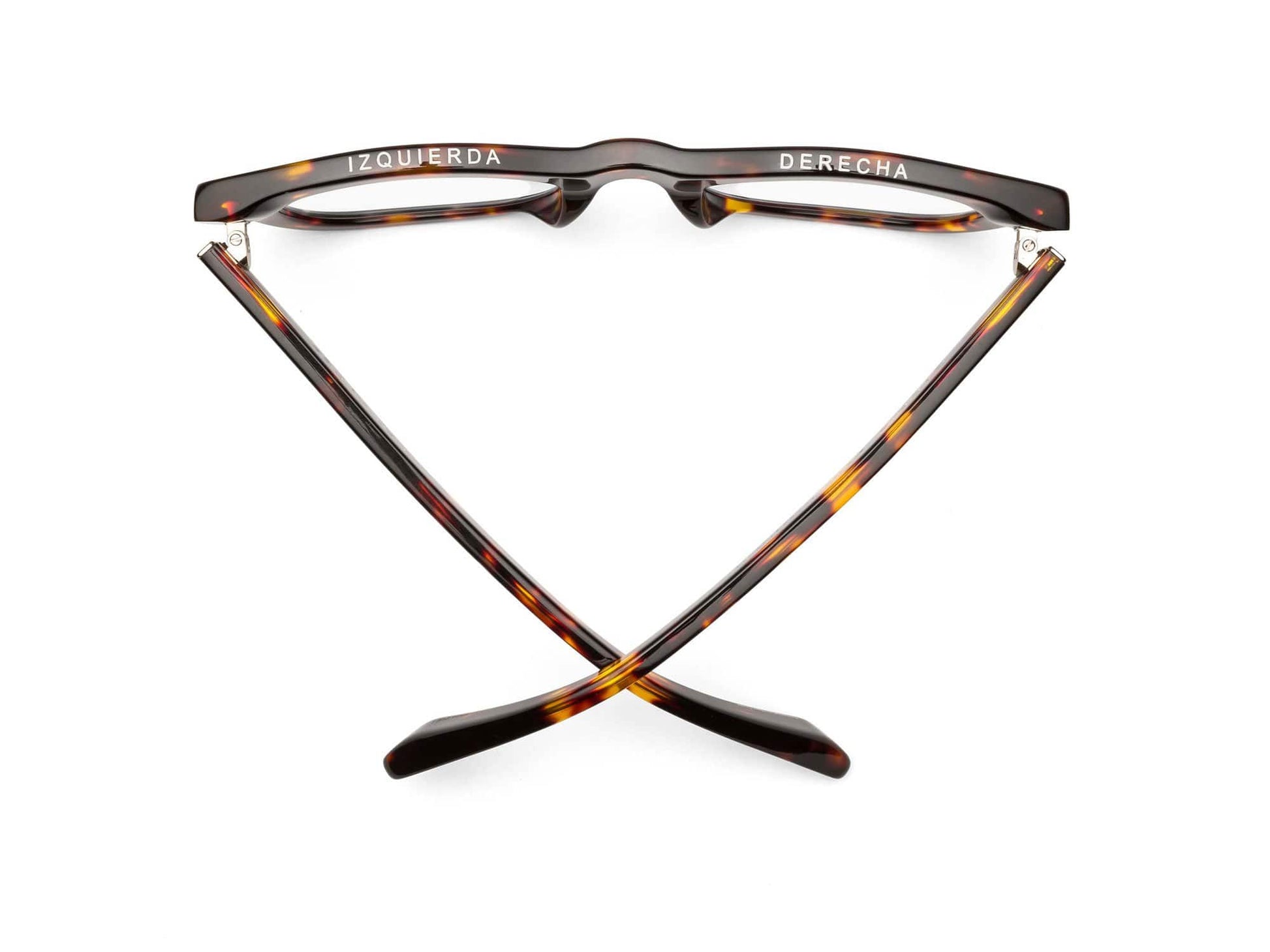 D28 Reading Glasses - Turtle