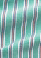 Ralph Lauren Polo Classic Fit Striped Oxford Fun Shirt